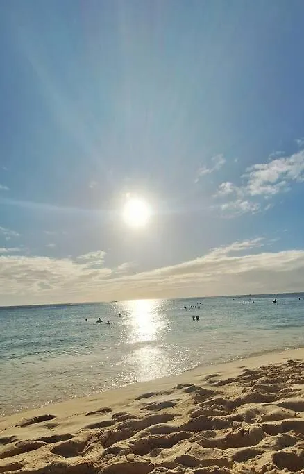 Acogedor Apartamento En Estrella Dominicus La Laguna